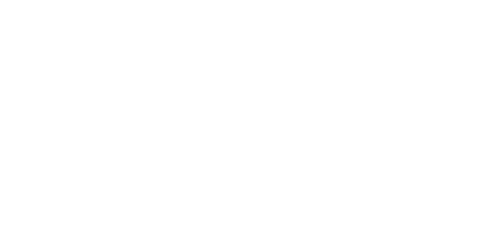 Desi Bar & Grill